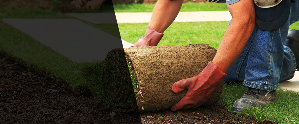 Kentucky Landscapers